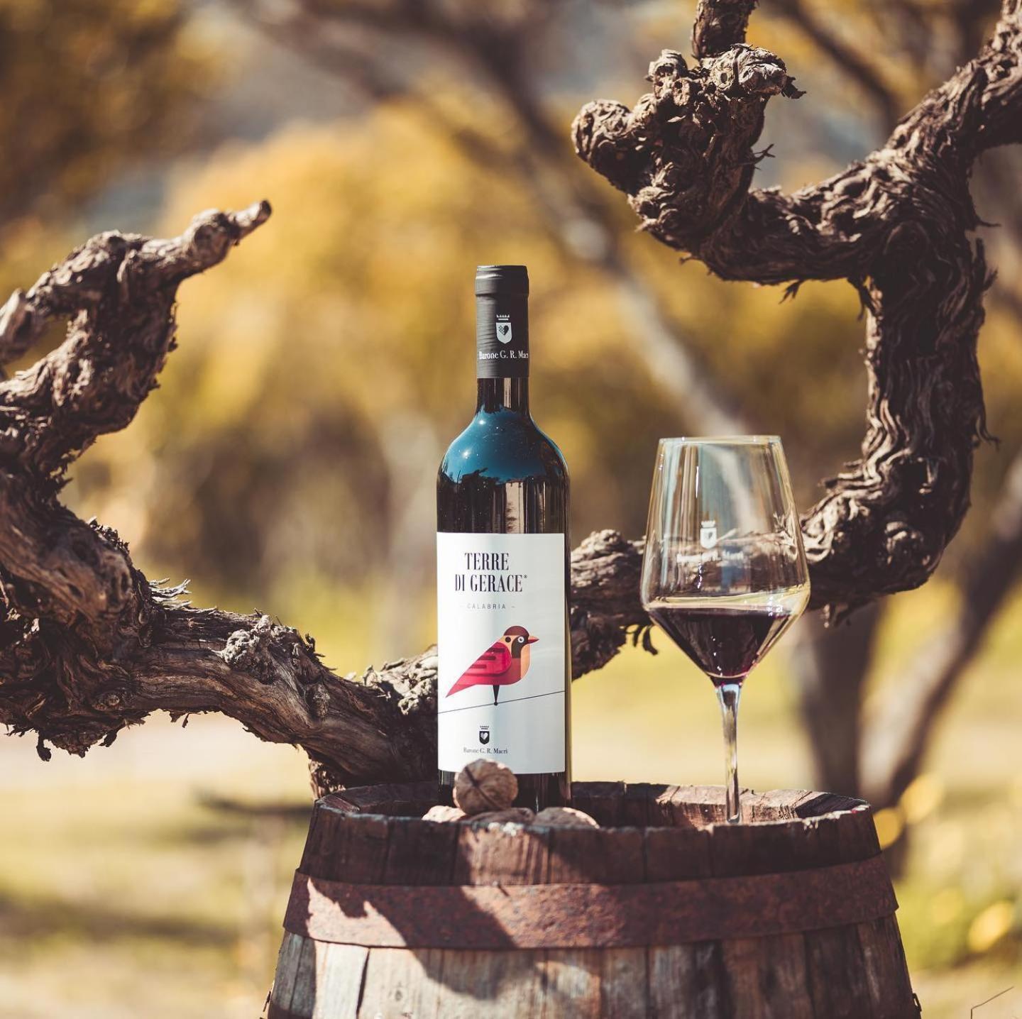 Barone Gr Macri Agriturismo Modi 게라스 외부 사진