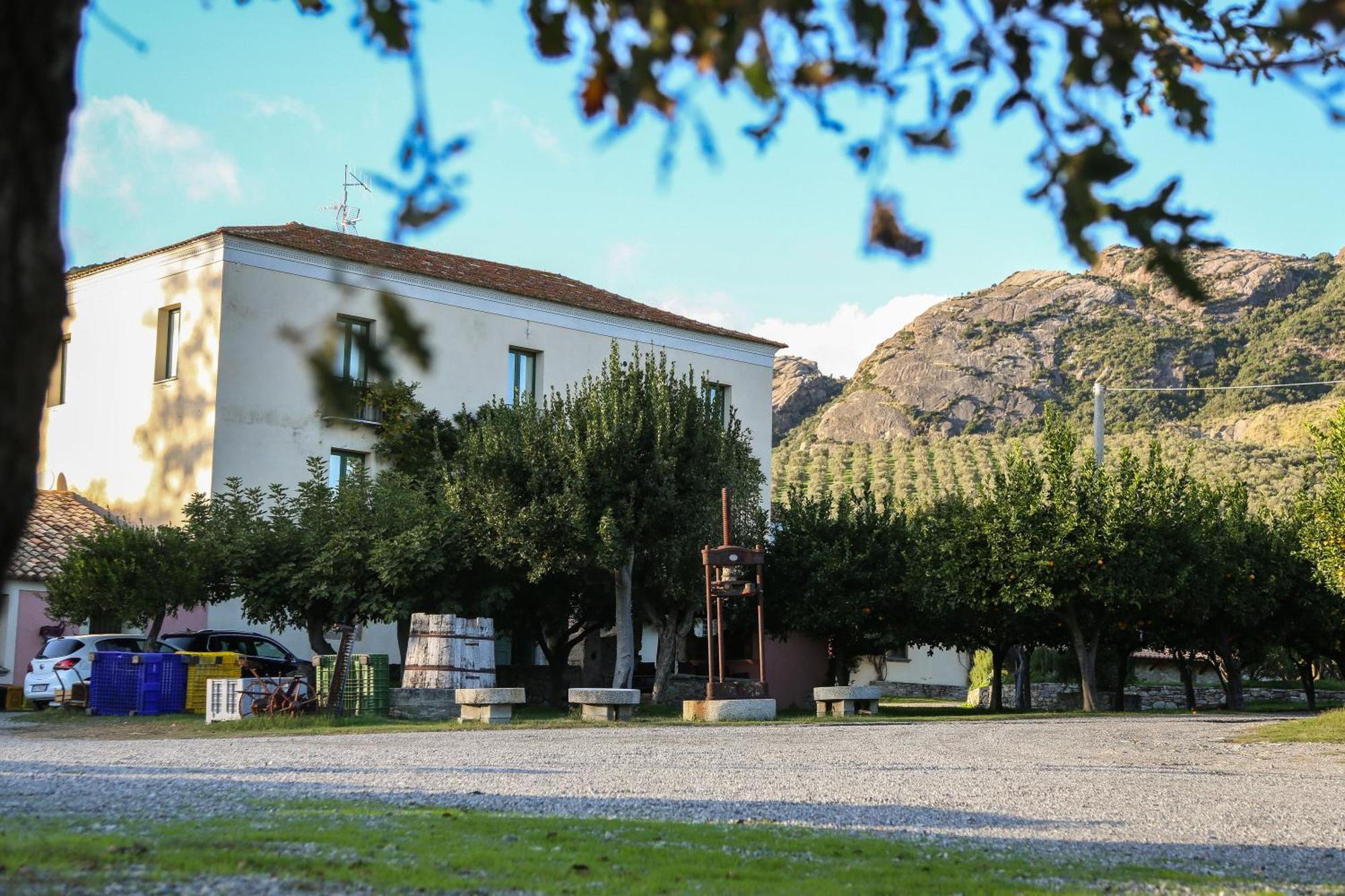 Barone Gr Macri Agriturismo Modi 게라스 외부 사진