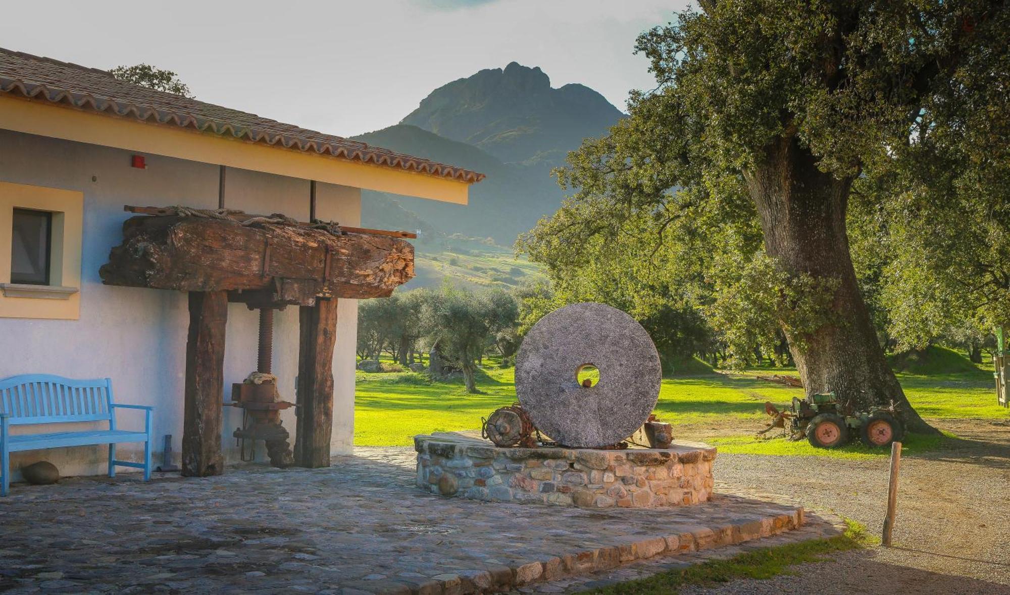 Barone Gr Macri Agriturismo Modi 게라스 외부 사진